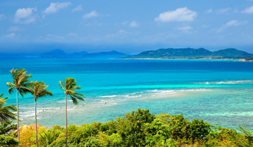 蘇梅島